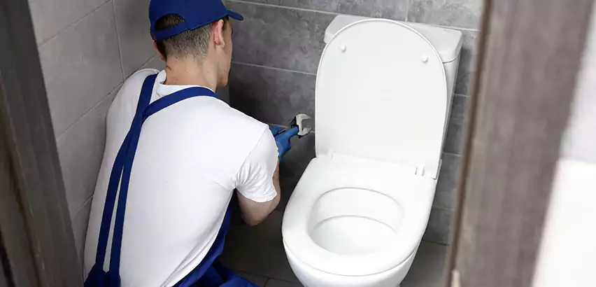 Toilet Lid Replacement in Roswell